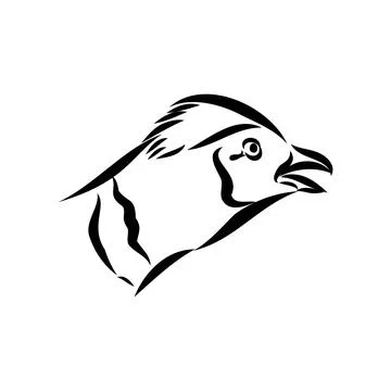 Hand drawn of an pheasant, sketch. Vector illustration isolated on a white ba Stock Illustration
