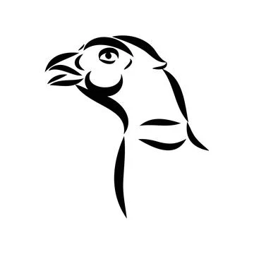 Hand drawn of an pheasant, sketch. Vector illustration isolated on a white ba Stock Illustration