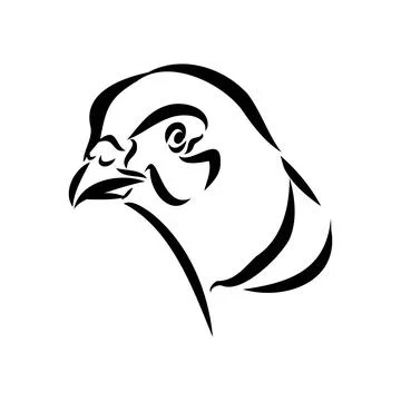 Hand drawn of an pheasant, sketch. Vector illustration isolated on a white ba Stock Illustration