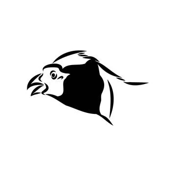 Hand drawn of an pheasant, sketch. Vector illustration isolated on a white ba Stock Illustration