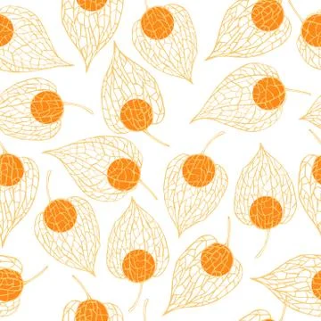 Hand drawn  Physalis fruit ( Physalis peruviana).   Vector seamless pattern. Stock Illustration
