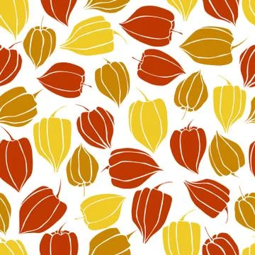 Hand drawn  Physalis fruit ( Physalis peruviana).   Vector seamless pattern. Stock Illustration