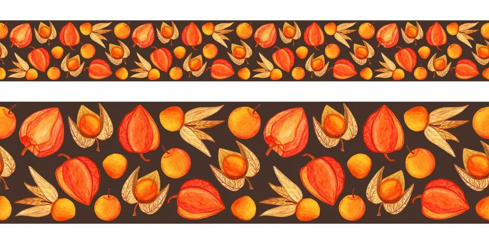 Hand drawn physalis seamless border isolated on grey background Illustrazione stock