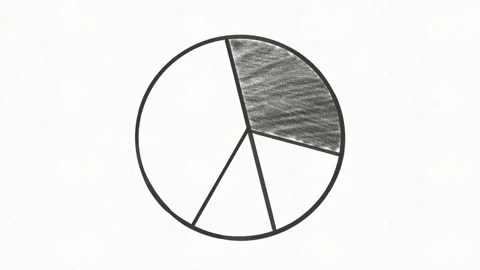 Hand Drawn Pie Chart Statistics Animation Stock Footage 341863567