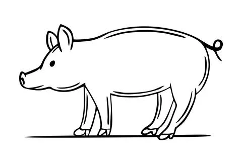 A hand-drawn piglet. Restaurants cooking doodle. Vector Stock Illustration