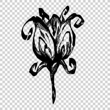 Hand-drawn pigma ink flower (2) Stock Illustration