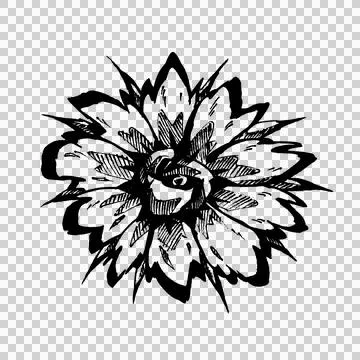 Hand-drawn pigma ink flower (1) Stock Illustration