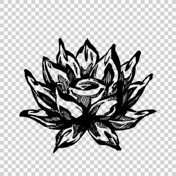 Hand-drawn pigma ink flower (3) Stock Illustration