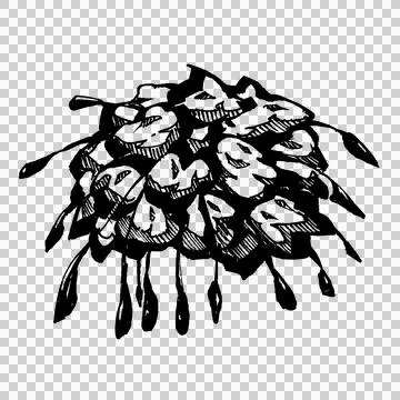 Hand-drawn pigma ink flower (5) Stock Illustration