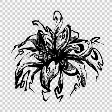 Hand-drawn pigma ink flower (7) Stock Illustration