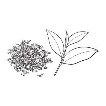 Hand drawn pile of dry tea and fresh leaf Stock Illustration