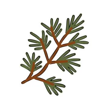 Hand drawn pine branch with vibrant green needles and brown stem displayed on Illustrazione stock