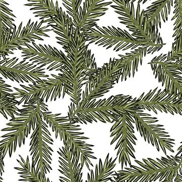 Hand drawn pine branches seamless pattern vector illustration Illustrazione stock