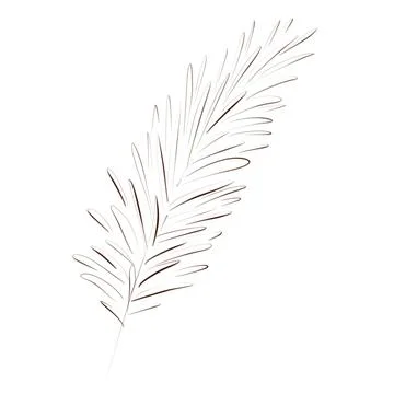 Hand drawn pine, spruce, spruce branch. Winter plants for Christmas decoration Stock Illustration