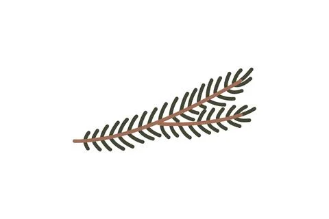 Hand drawn pine tree branch. Green lush spruce branch. Vector doodle Illustrazione stock