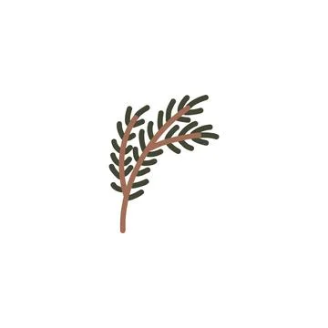 Hand drawn pine tree branch. Green lush spruce branch. Vector doodle Stock Illustration