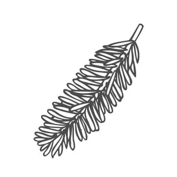 Hand drawn pine tree Illustrazione stock