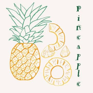 Hand drawn pineapple fruit multicolor line art vector illustration. Colorful  Stock Illustration