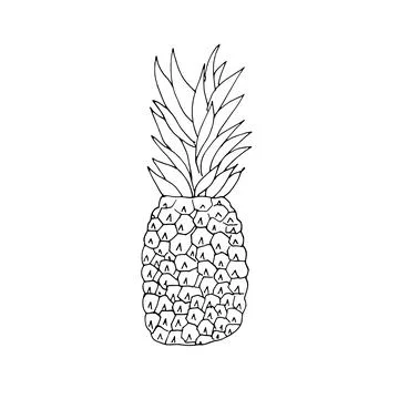 Hand drawn pineapple Stock Illustration