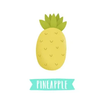 Hand drawn pineapple isolated on white. Stock Illustration