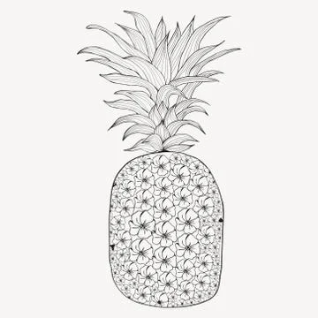 Hand-drawn pineapple on white background Illustrazione stock
