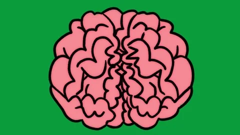 Hand Drawn Pink Brain 2D Animation Green Screen Overlay Stock Footage 341798209