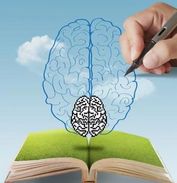 Hand drawn pixel brain as concept Stock Illustration