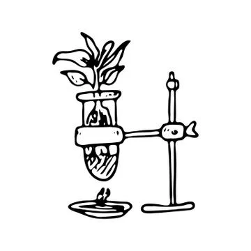 Hand drawn plant in flask doodle icon. Hand drawn black sketch. Sign symbol.  Illustrazione stock