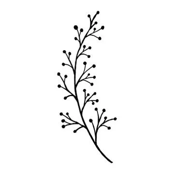 Hand drawn plants and tree branches with leaves. Vector floral silhouettes. G Stock Illustration
