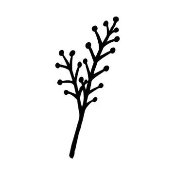 Hand drawn plants and tree branches with leaves. Vector floral silhouettes. G Stock Illustration