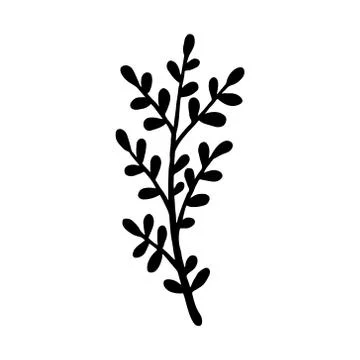Hand drawn plants and tree branches with leaves. Vector floral silhouettes. G Stock Illustration