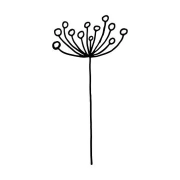 Hand drawn plants and tree branches with leaves. Vector floral silhouettes. G Stock Illustration