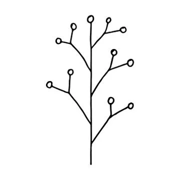 Hand drawn plants and tree branches with leaves. Vector floral silhouettes. G Stock Illustration