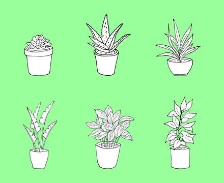 Hand drawn plants set Stock Illustration