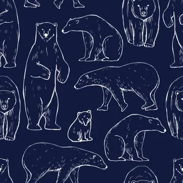 Hand drawn polar bear. Stock Illustration