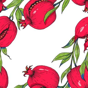 Hand drawn pomegranate frame Stock Illustration