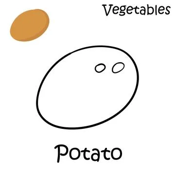 Hand drawn potatoes on a white background Illustrazione stock