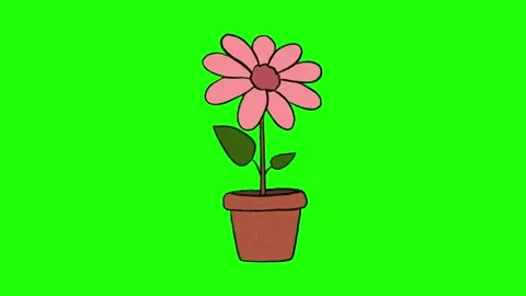 Hand-Drawn Potted Flower Animation on Green Screen | Blooming Doodle Nature Elem Stock Footage 318317598
