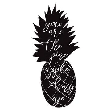 Hand drawn print vector illustration text You are the pineapple of my eye on  Stock Illustration