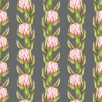 Hand drawn protea flowers pattern Stock Illustration
