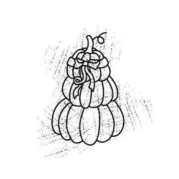 Hand drawn pumpkin decorated with ribbon bow in vintage style. Rustic autum.. Stock Illustration