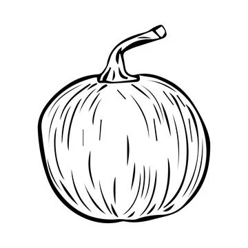 Hand Drawn pumpkin doodle. Sketch style icon. Decoration element. Isolated on Stock Illustration