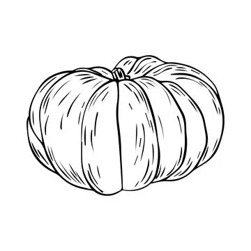 Hand Drawn pumpkin doodle. Sketch style icon. Decoration element. Isolated on Stock Illustration