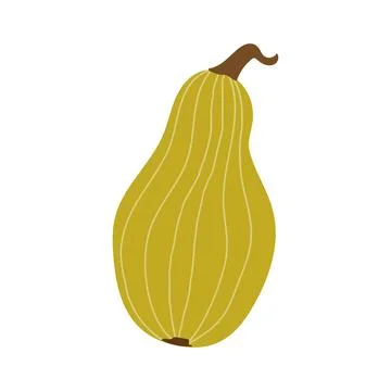 Hand drawn pumpkin. Flat vector illustration isolated on white background. Stock Illustration