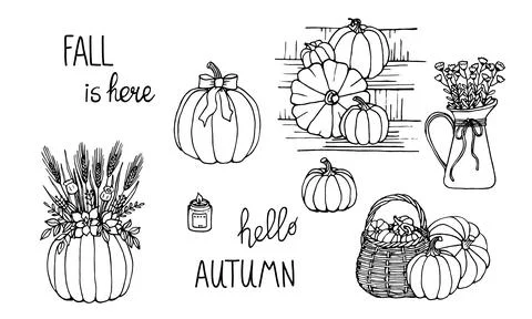 Hand drawn pumpkin with flowers branches Illustrazione stock