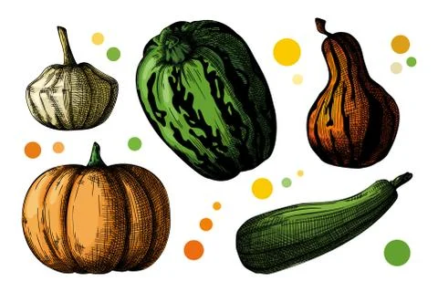 Hand drawn pumpkin set isolated on white background. Vector illustration Stock Illustration
