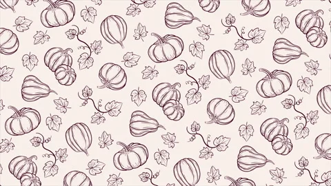 Hand drawn pumpkins background on a seamless loop Stock Footage 316781660