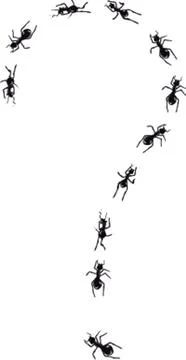 Hand drawn question mark made of ants. Stock Illustration