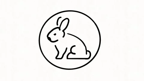 Hand Drawn Rabbit Icon Animation Stock Footage 338000175
