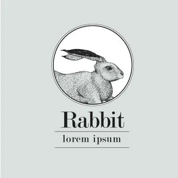 Hand drawn rabbit logo template. Vector vintage illustration. Illustrazione stock